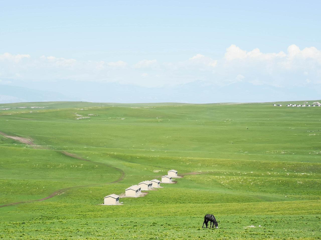 昨天一个初三的学生家长找我聊天，想孩子寒假的时候补一补，如果说孩子成绩确实好的话