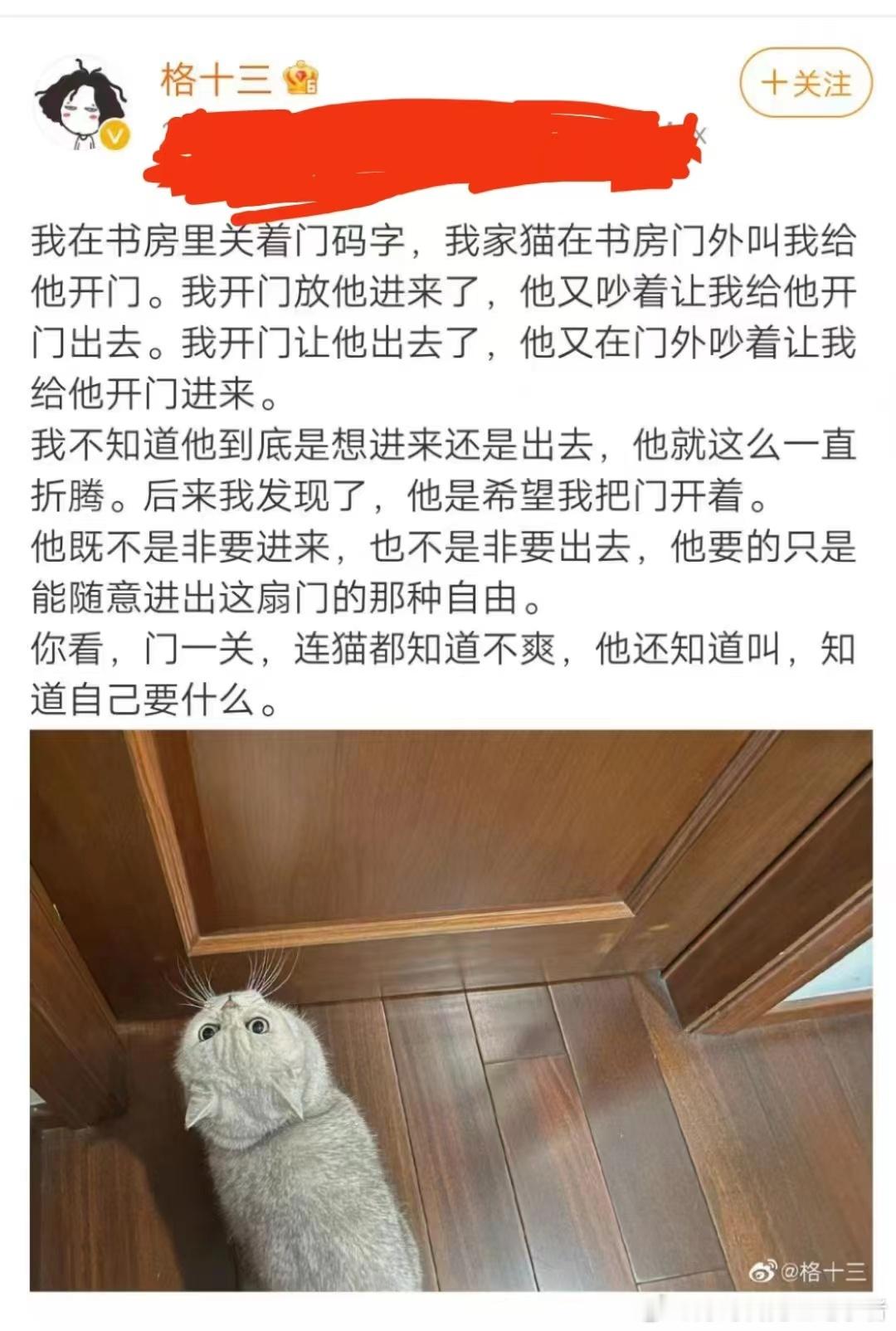 门不能乱关，不然连猫咪都知道叫！​​​