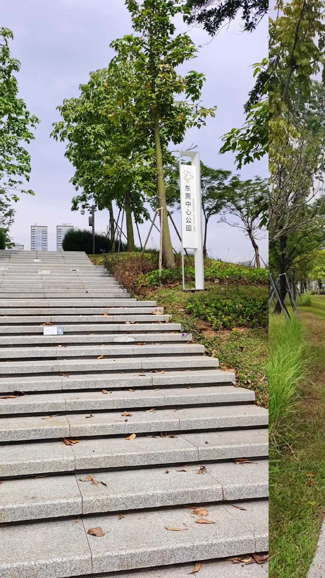 在东莞这座节奏飞快的城市里，藏着一处能让人慢下来的治愈角落——中心公园。这里没有