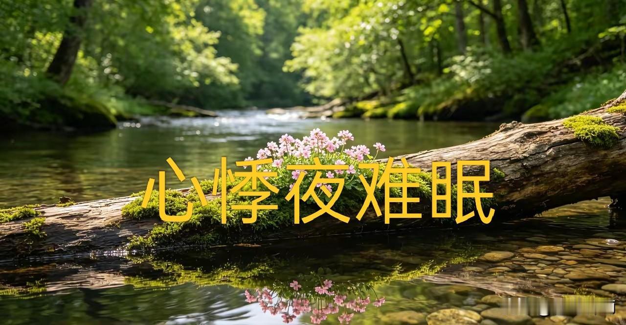 心悸夜难眠这两天夜里总睡不踏实，心脏隐隐悸动，虽不剧烈，却扰得人难以安睡。清
