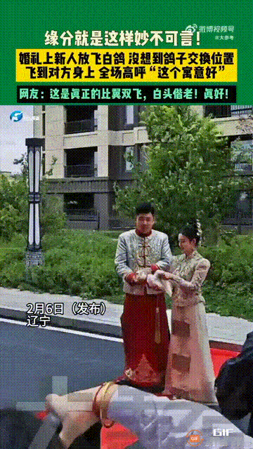 “这场婚礼绝对是天赐良缘！”辽宁一对新人结婚当天，新郎新娘在家门口放飞白鸽，谁料