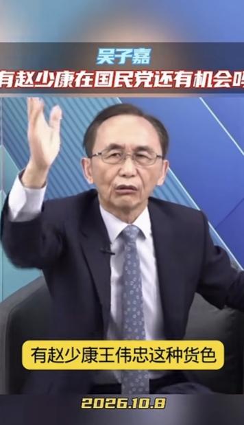 台湾著名媒体人吴子嘉骂的好，“国民党有有赵少康、王伟忠这种货色，国民党还有机会吗