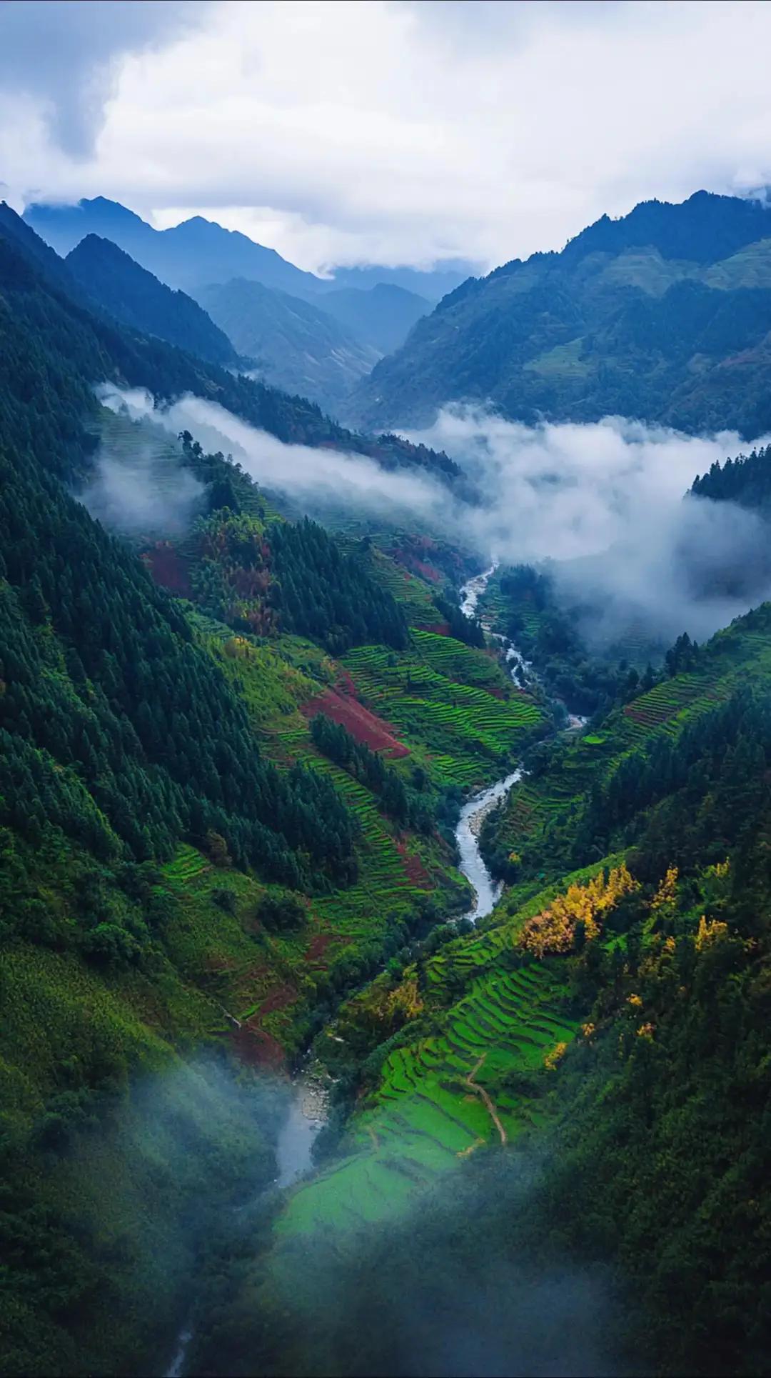 七种顶级思维：构建应对复杂世界的智慧坐标系思维，是成年人最顶级的自律，也是抵御