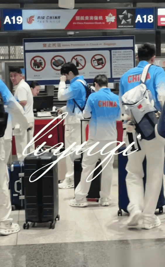 凌晨的机场，国乒一队人往里走。别的队员都被人群冲散了，就莎莎，闷着头，老老实实跟在哥哥身后，半步没落