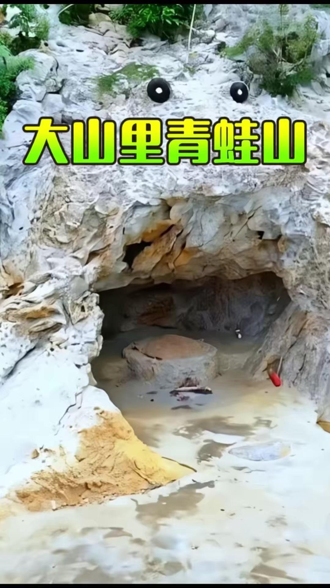 大自然的鬼斧神工总能带来惊喜！在广西十万大山深处，有座酷似青蛙的山，形态逼真