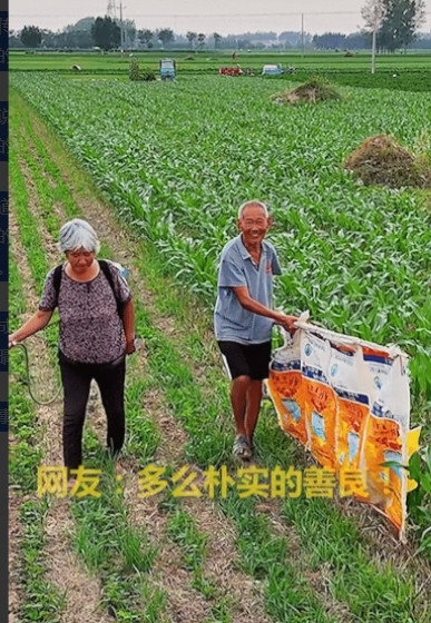 “中国好邻居！”近日，河南周口，两老人在田里打农药，一老人拿着遮挡布，另一老人打