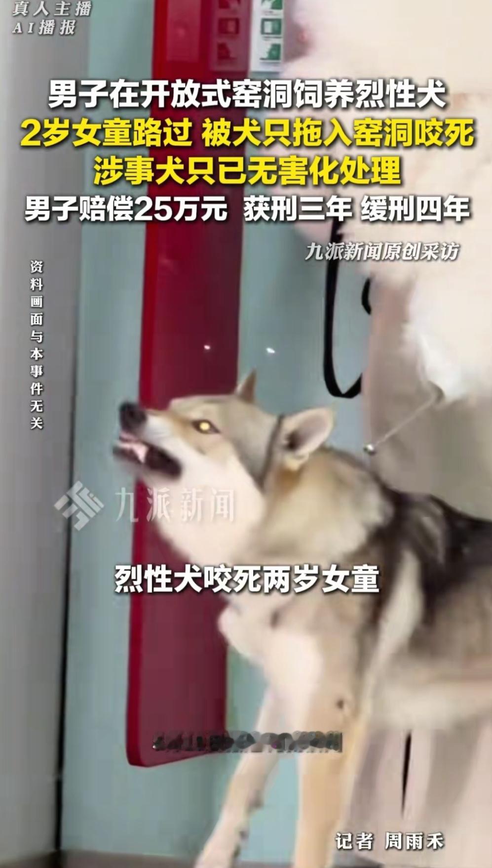 “太痛心了”河南汝州，一名2岁女童被一只捷克狼犬撕咬，小小的生命就此逝去。这只捷
