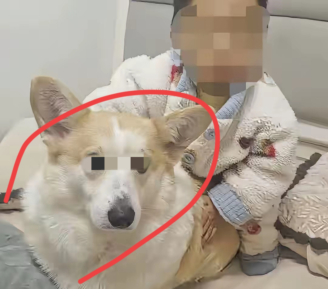 我怀疑过坠亡幼童的爸外面有人，也怀疑过他跟妻子没感情了，但万万没想到，这位爸爸本身就是一个极度自私凉