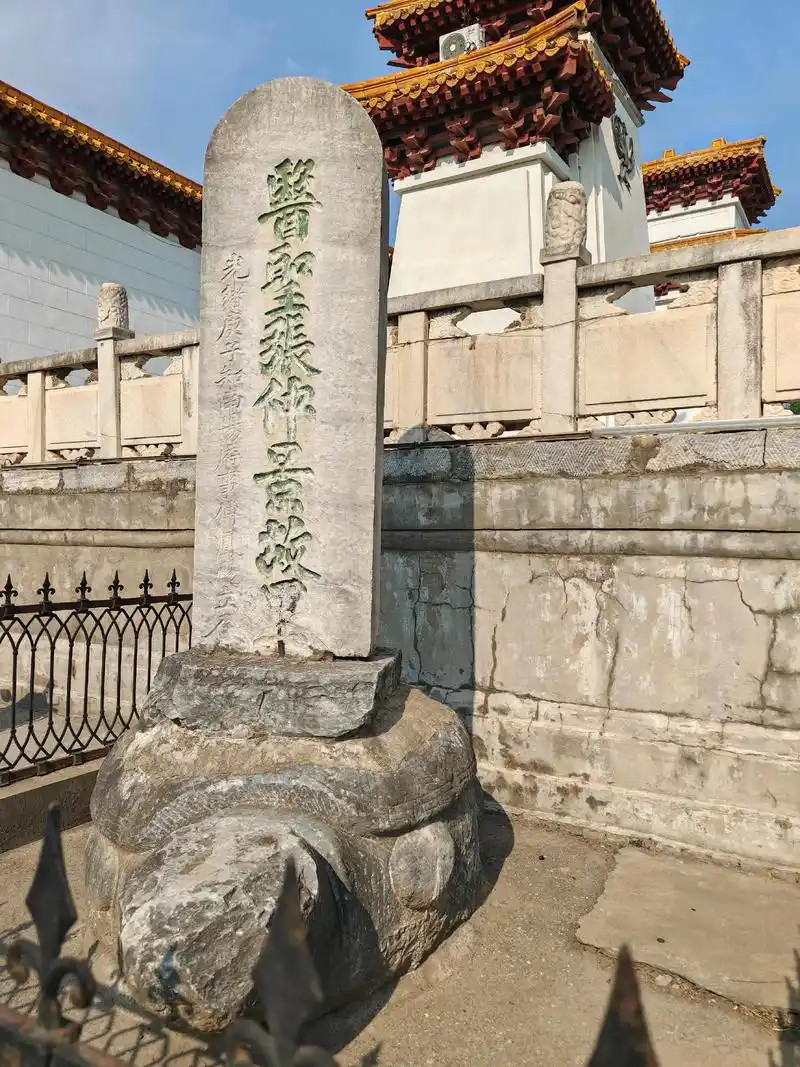 张仲景《伤寒杂病论》里治疗前列腺炎的经方1️⃣猪苓汤｜水热互结，阴液受损出自《