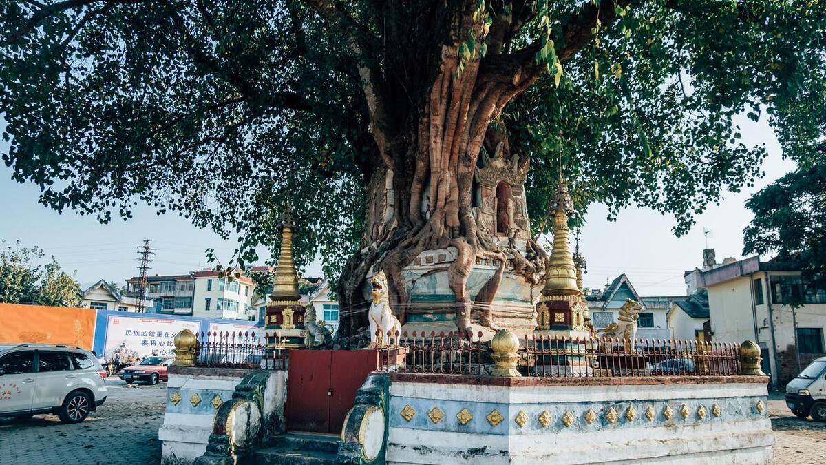 春节不去人挤人,这8个小众旅行地,适合长假出行,游玩放松