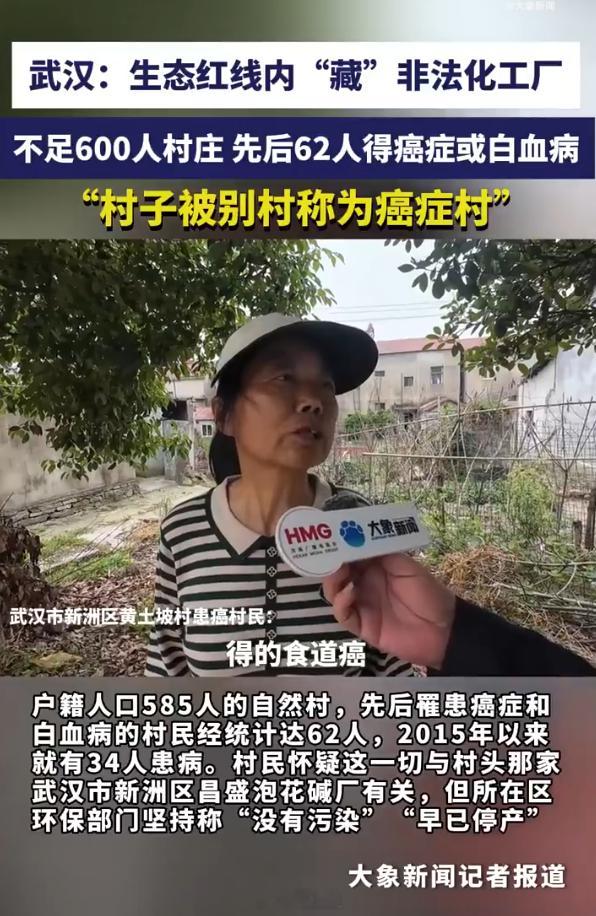 湖北武汉一化工厂所在的自然村，总人口585人，患癌和白血病的村民达到62人，仅2