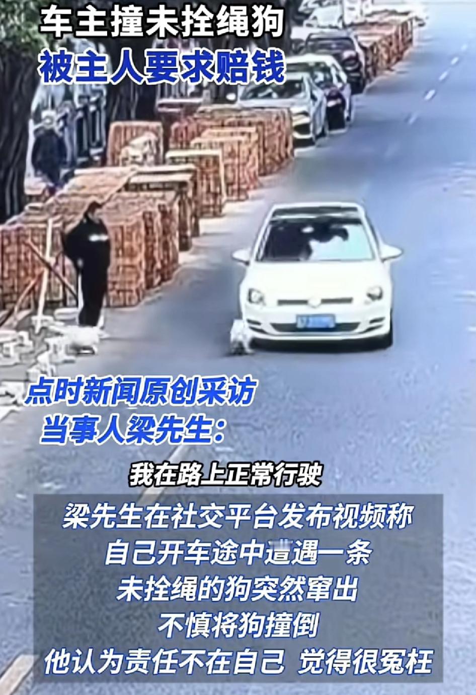 佛山一位车主行车途中遇到前方有人拴着小狗，于是往左打了一下方向盘，没想到这只狗冲