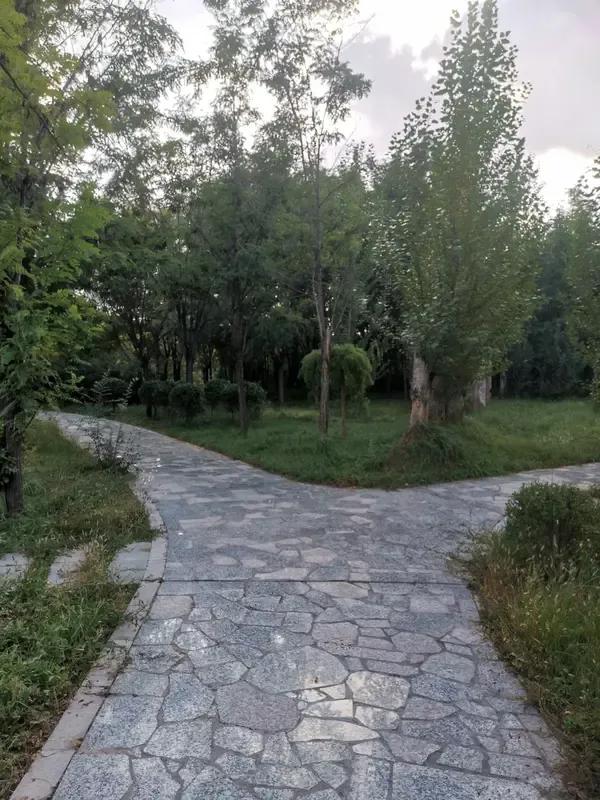 真正聪明的人，从不在这3件事上浪费时间：1. 纠结过去的对错​2. 讨