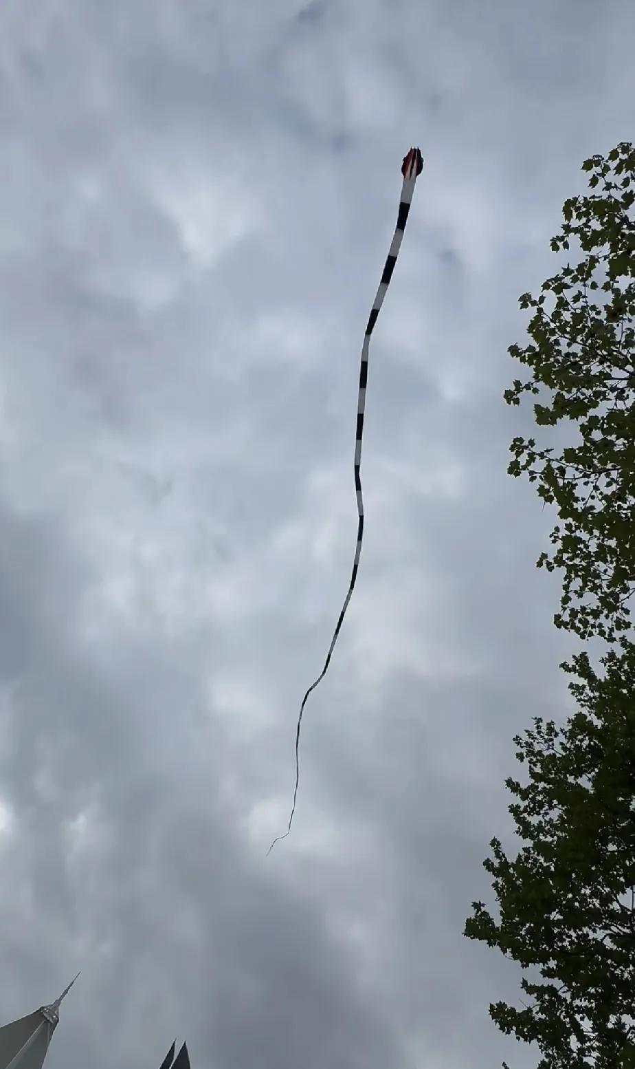 这就是网友拍到的“龙”吧！放高了，绳断了，雷暴天气遇到狂风，