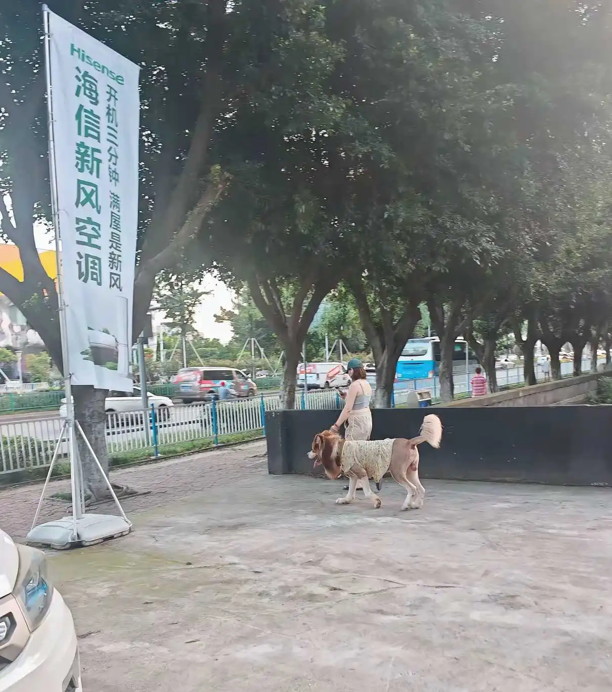 养这样的狗一年大概要多少开支？