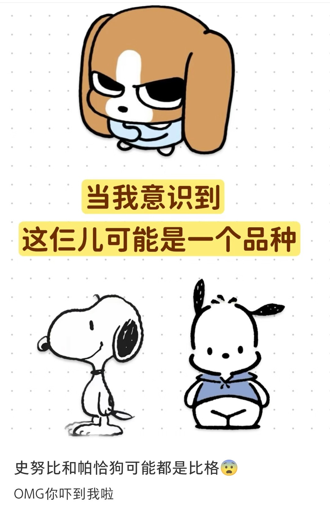 帕恰狗是比格吗，不会吧