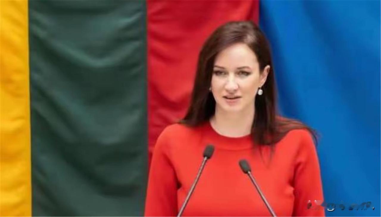 立陶宛政府举白旗，全面接受中国条件，恶斗5年，中方大获全胜。这种情绪化的标