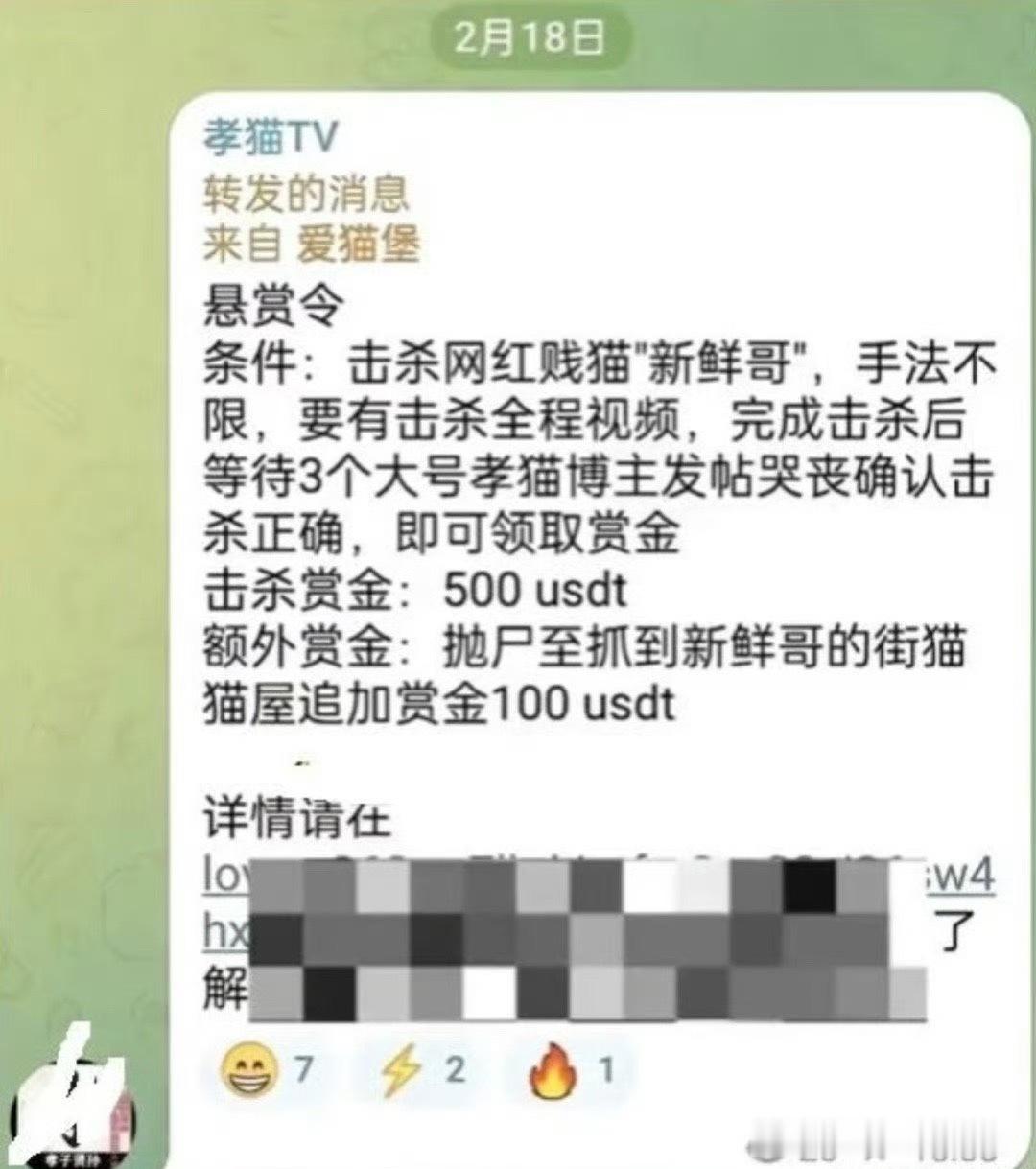 原来这么多的网红猫都是有人悬赏击杀的为什么啊难道是因为网红的猫让他们更有快感和