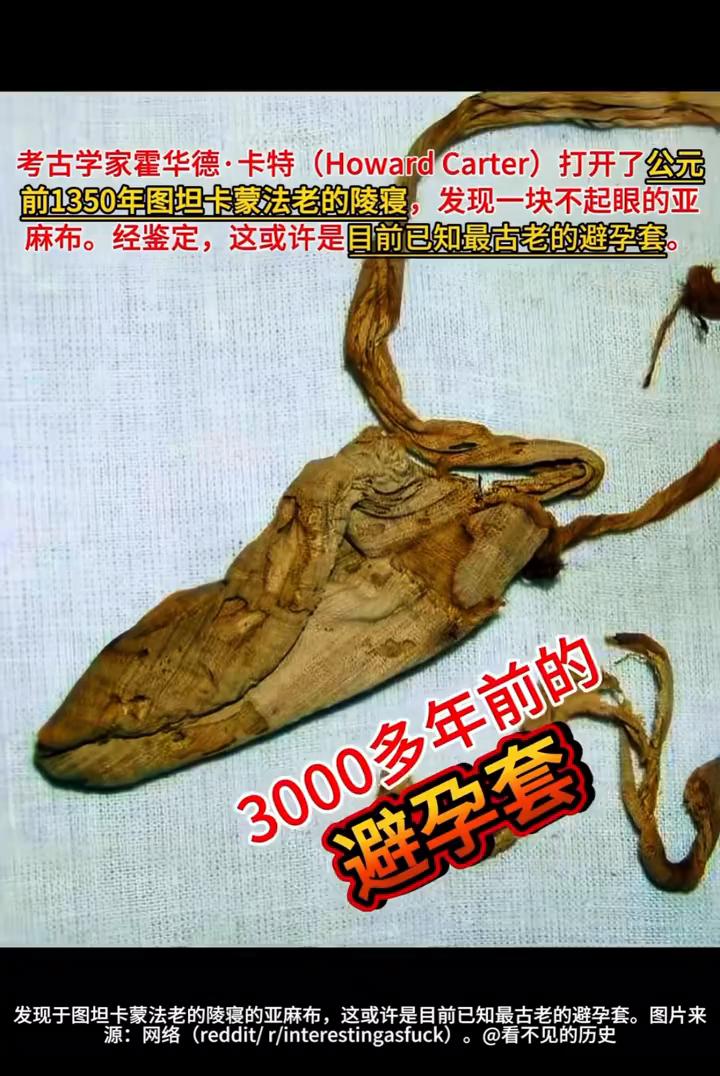 3000多年前的避孕套。考古学家霍华德·卡特(HowardCarter)打开