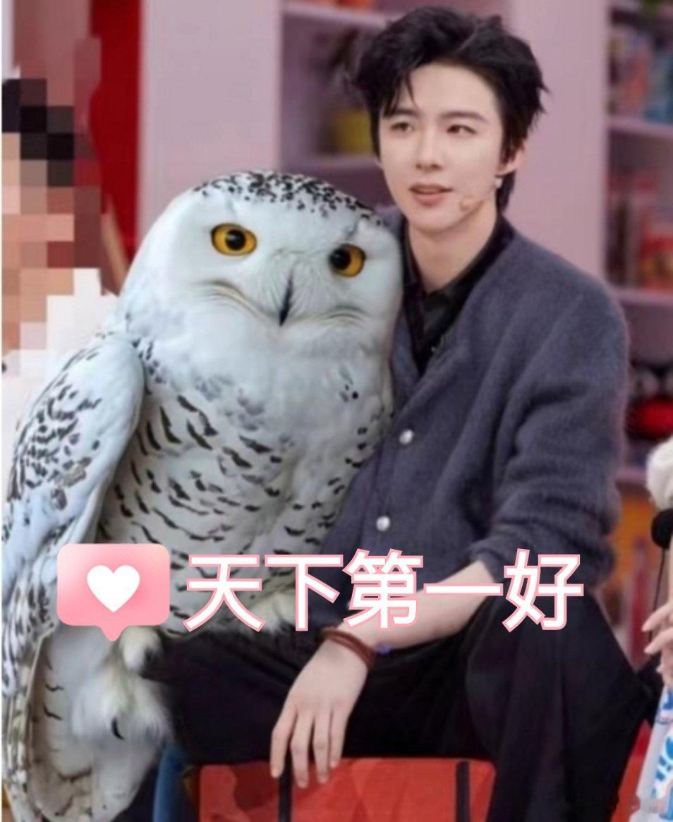 八周年。有点感慨。唠叨两句。刘宇宁爆火。冒出一大批自诩老粉的人。不少账号关注时长