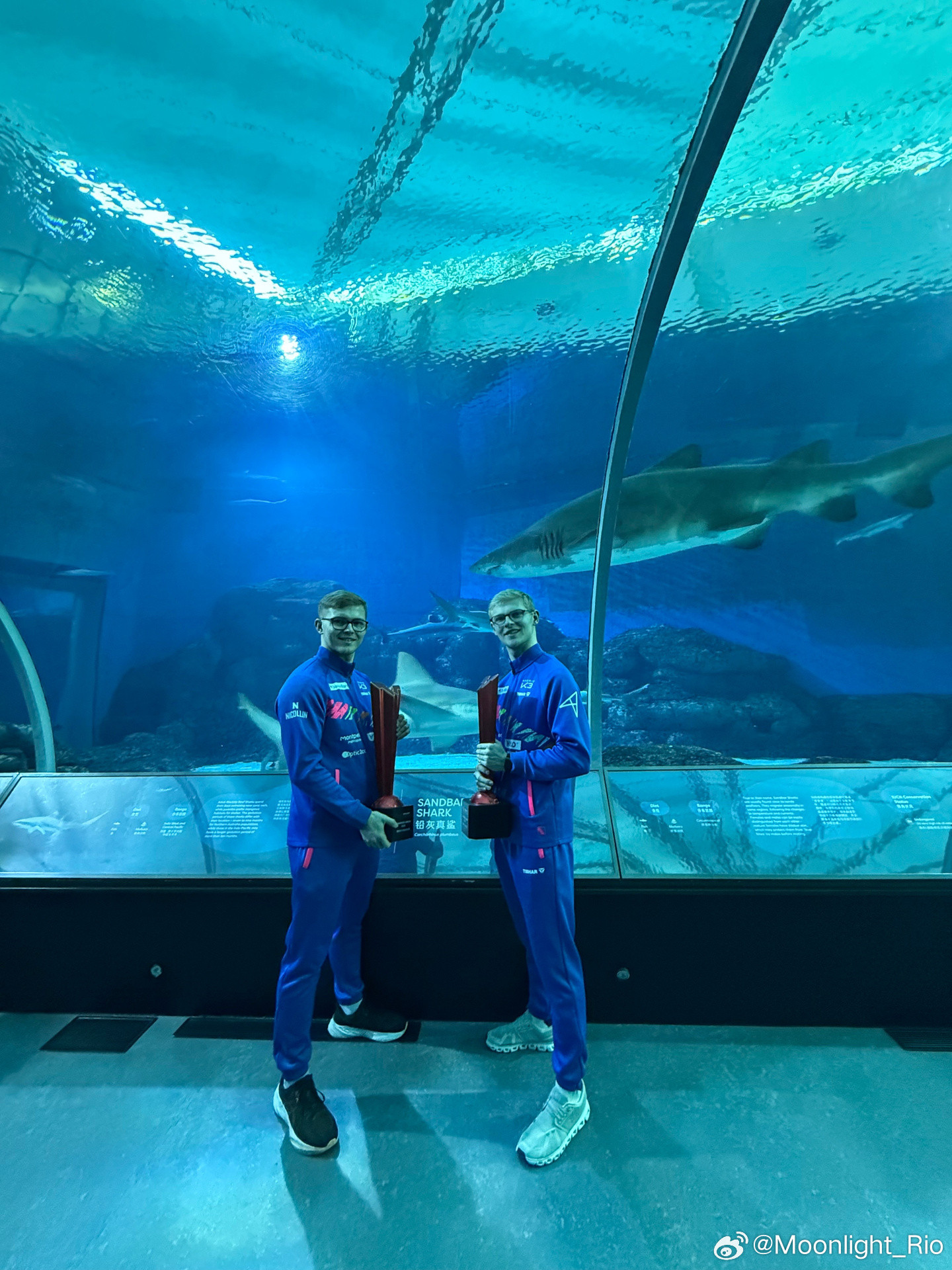 勒布伦兄弟：我们不是海豚❌🐬我们是鲨鱼✅🦈