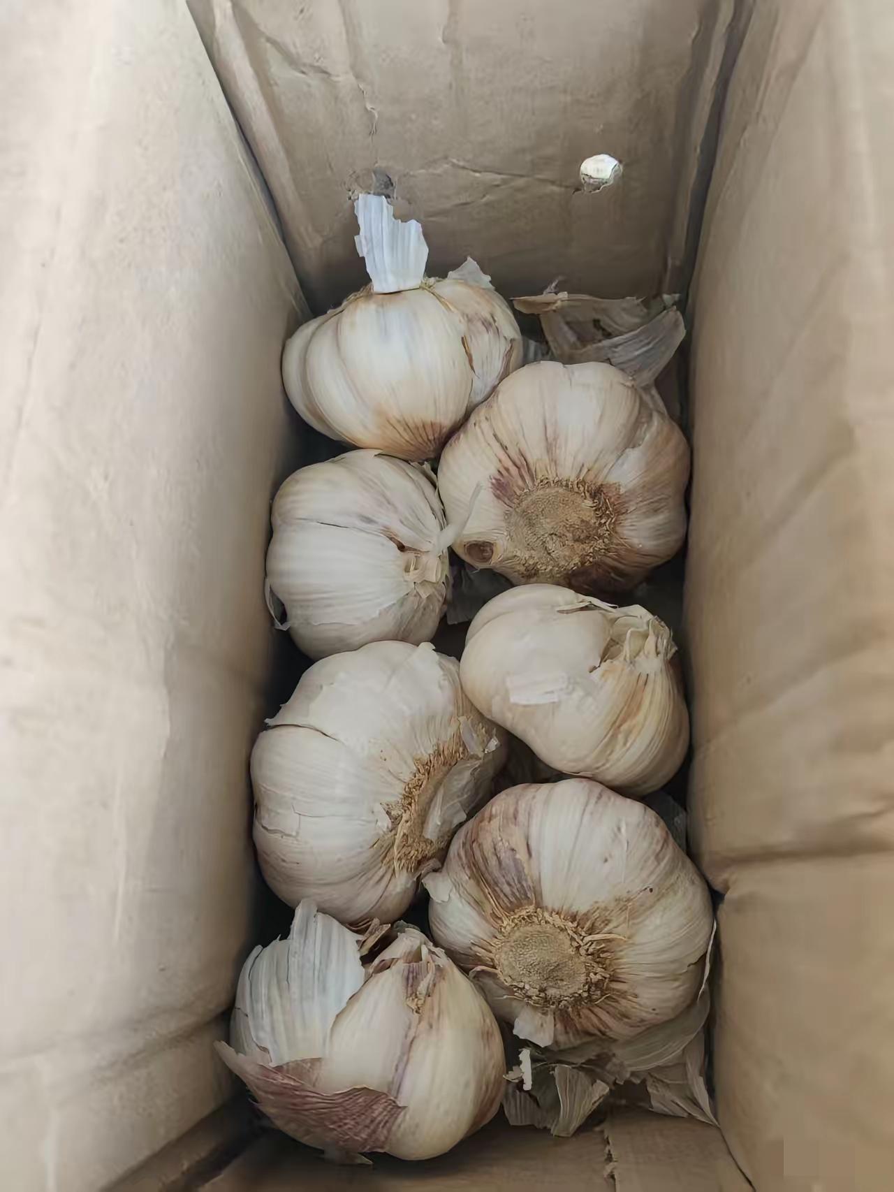 昨天在拼多多上买的二斤大蒜到了，拿到手里的那一刻，我感觉怎么那么轻啊，赶紧打开一