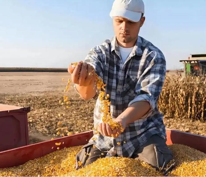 中国刚下了18万吨订单,美国豆农却高兴不起来时隔两个月,陷入“大豆滞留”的美