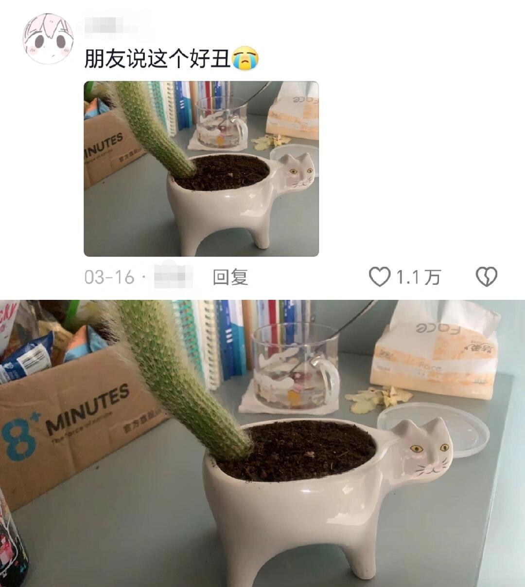 喜欢又丑又没用的东西