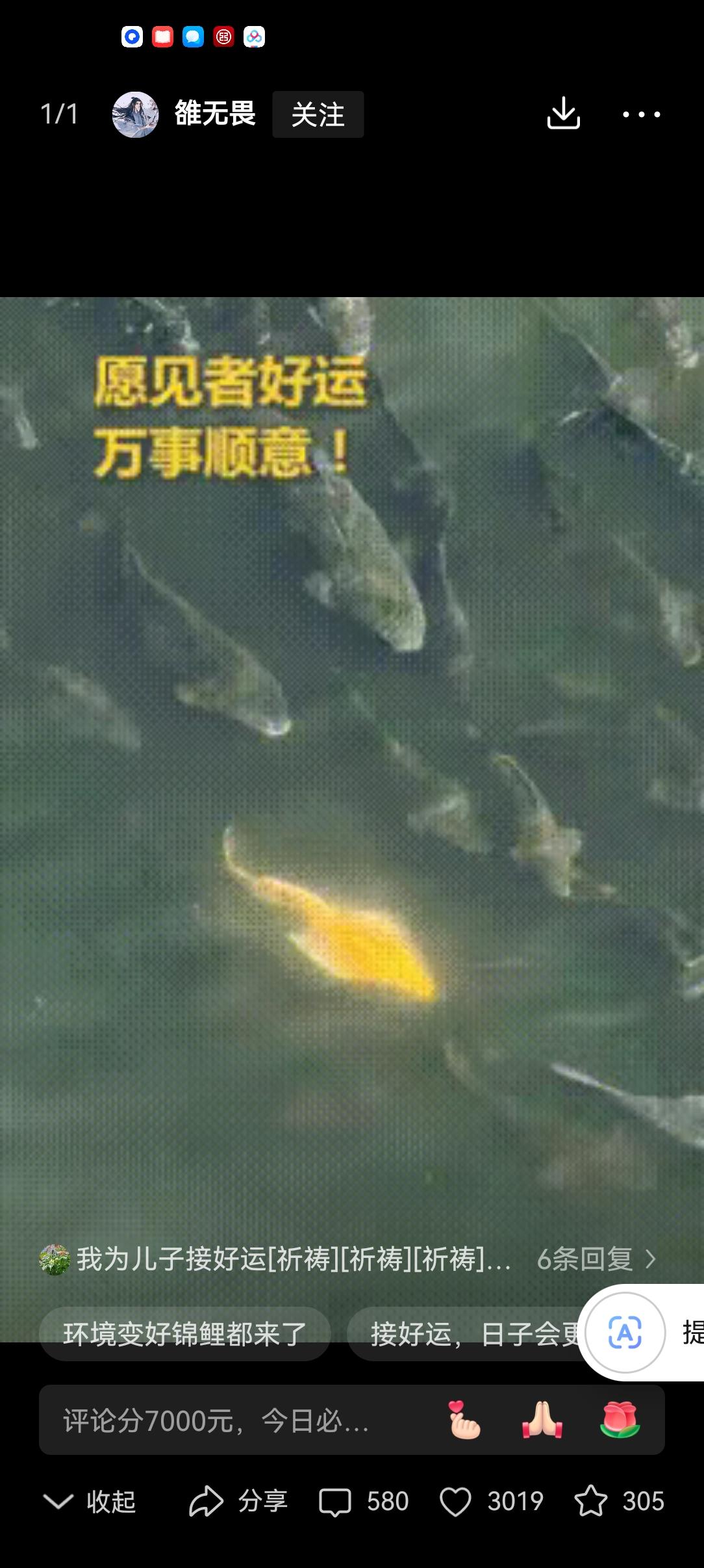 谁能想到!宜宾三江口拍风景,竟拍到“活财神”,这段视频直接冲上人民日报,网友疯传