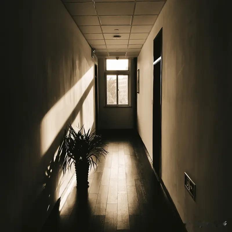 再过50年，也就是2075年，你们在干什么呢？估计70后80后都谢幕了，90后