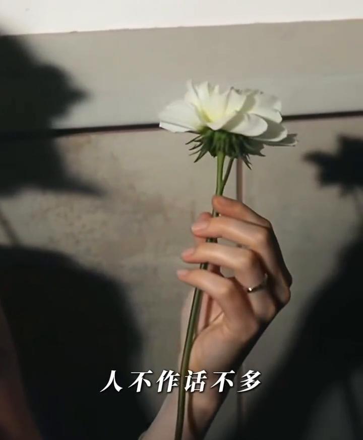 我现在的状态：人不作话不多，事不拖。与自己无关的事不问，不想也不说。