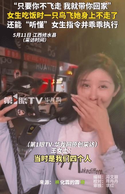 “太有灵性了！”5月11日华龙网报道，江西修水，女生在外吃饭时，突然一只鸟飞到她