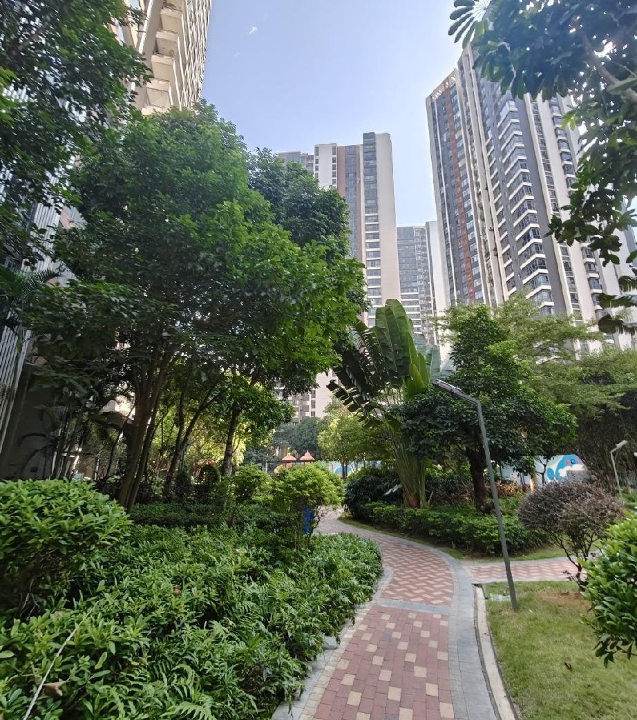 真恶心，我和老公结婚4个月了，最近突然感觉恶心呕吐，去医院检查发现怀孕10周了，