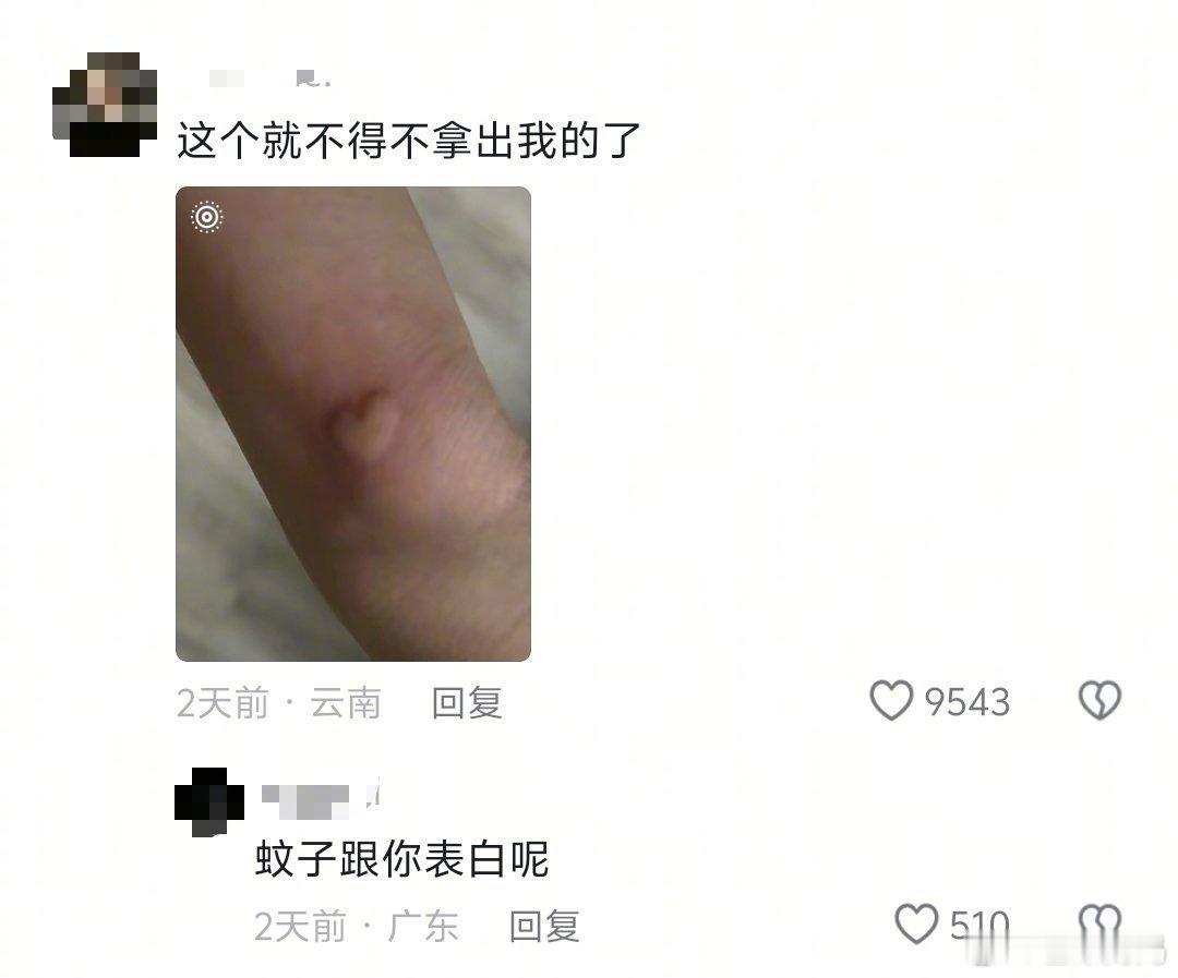 蚊子🦟有点蚊德但不多