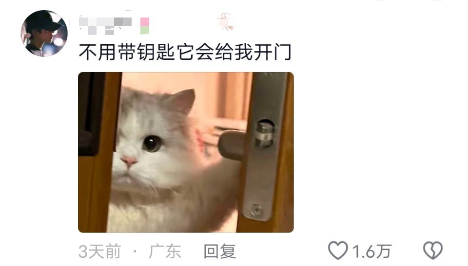 看到一个很可爱的小猫评论，啊啊啊真的好萌！