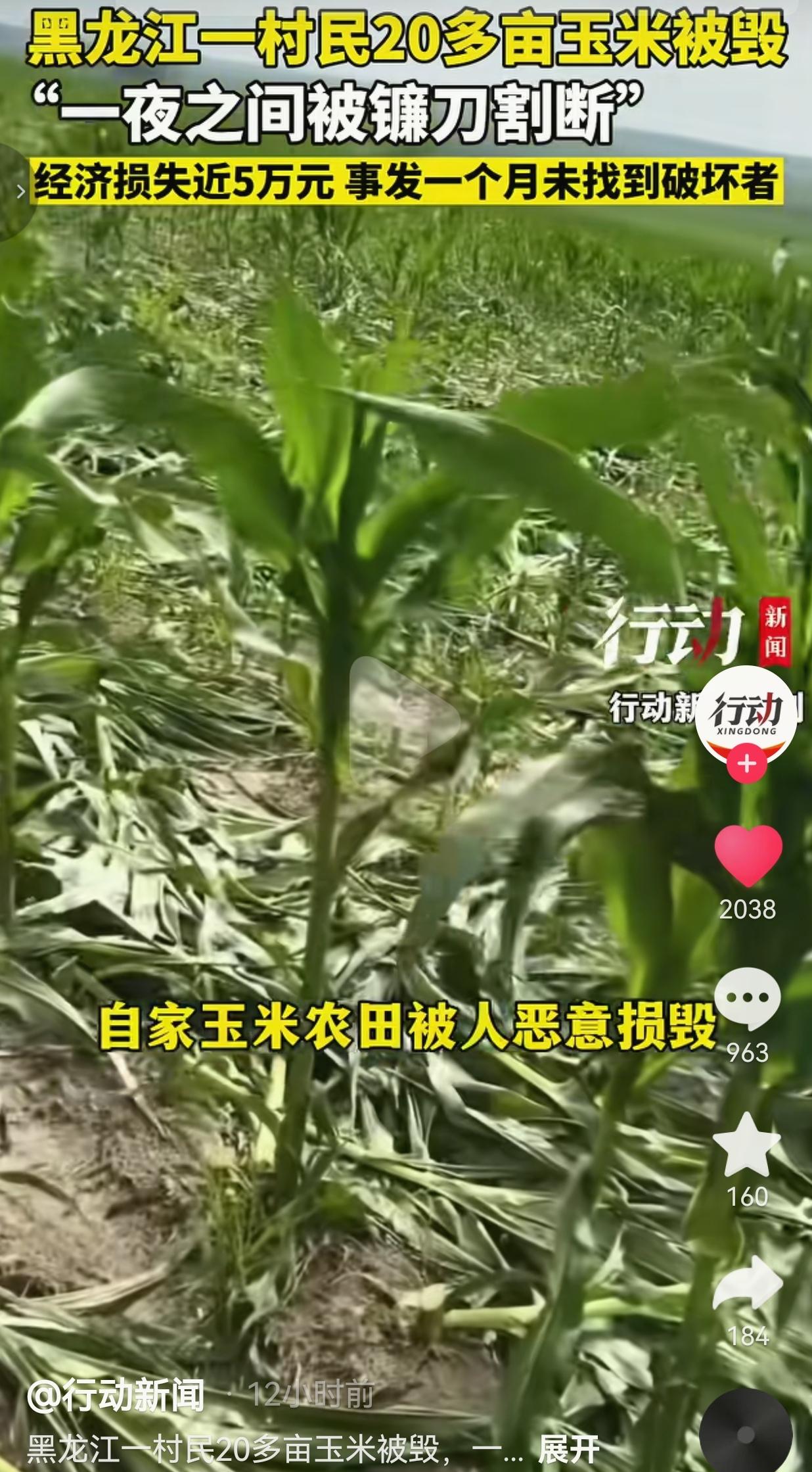 农民种地，从来都是靠天吃饭、靠力挣钱，全年的希望全拴在几亩薄田里。可黑龙江这位农