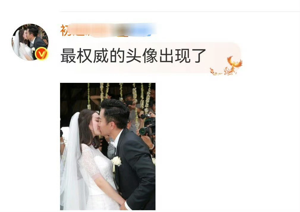 原来老丽粉最在意的还是老丽带球没婚礼，每次和幂粉控瓶都会拿出杨幂合法合理的婚礼照