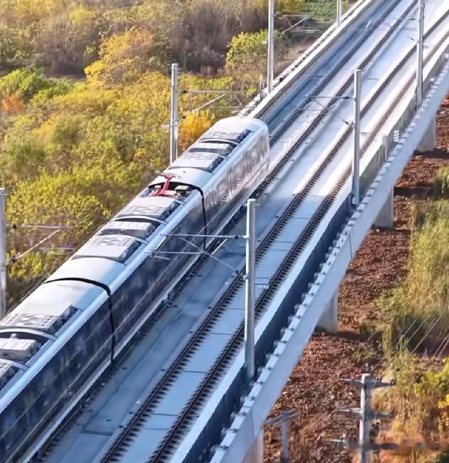 寿县人今年还是坐不上合肥地铁s1线，只能再等待了1月28号和29号，合肥地铁7