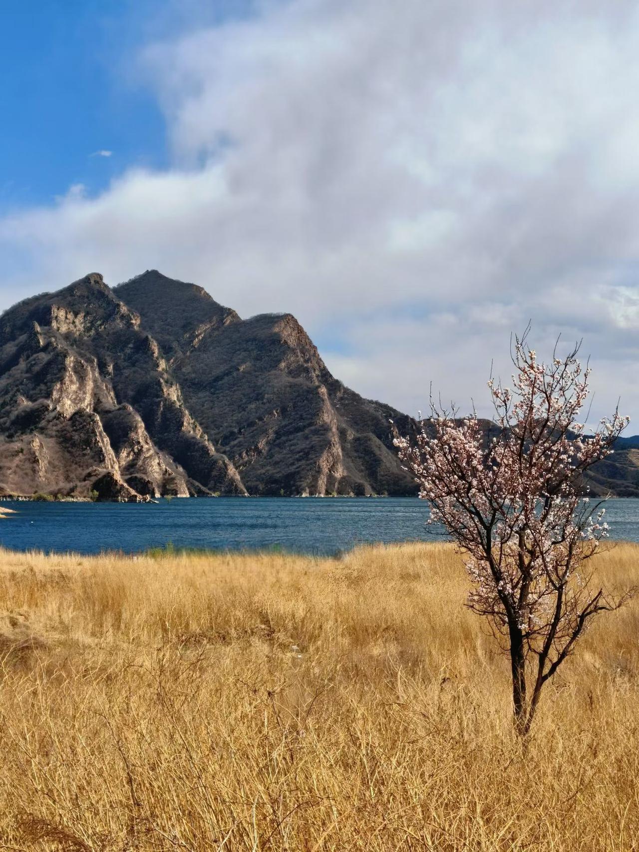 递咖啡时顺手擦掉杯沿溢出的奶沫，同事愣了一下：“你怎么知道我喜欢干净杯口？”——