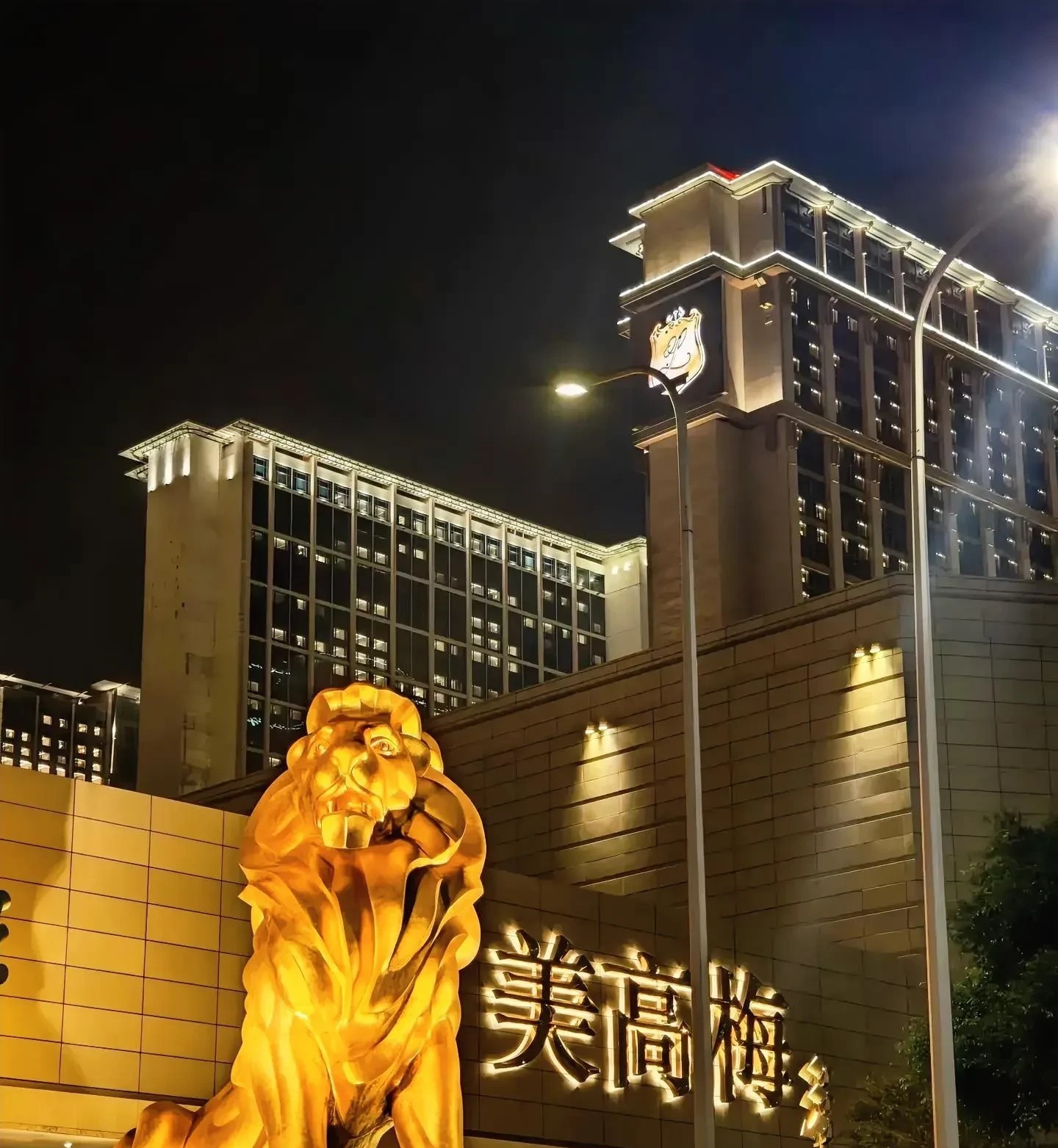 美高梅完全不顾向家颜面，网上追债向佐：底气何来？我查了一下其背景，惊呆了我和