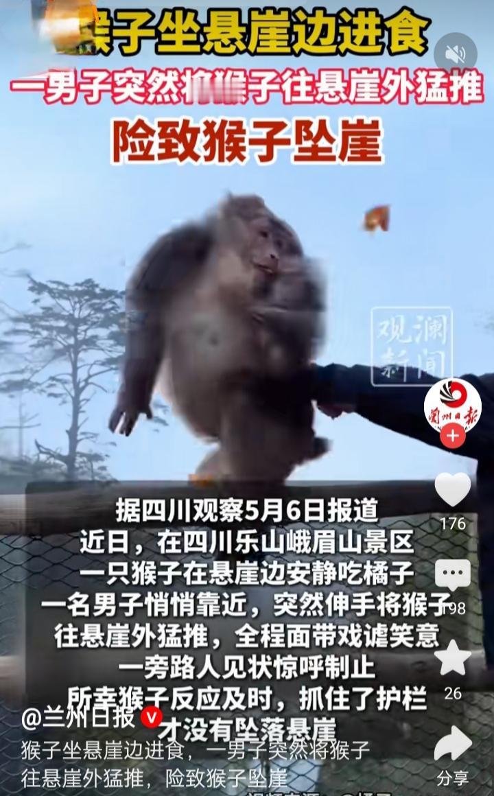 峨眉山惊现恶劣一幕，男子竟将猴子推向悬崖，简直刷新人类底线！在峨眉山景区，一