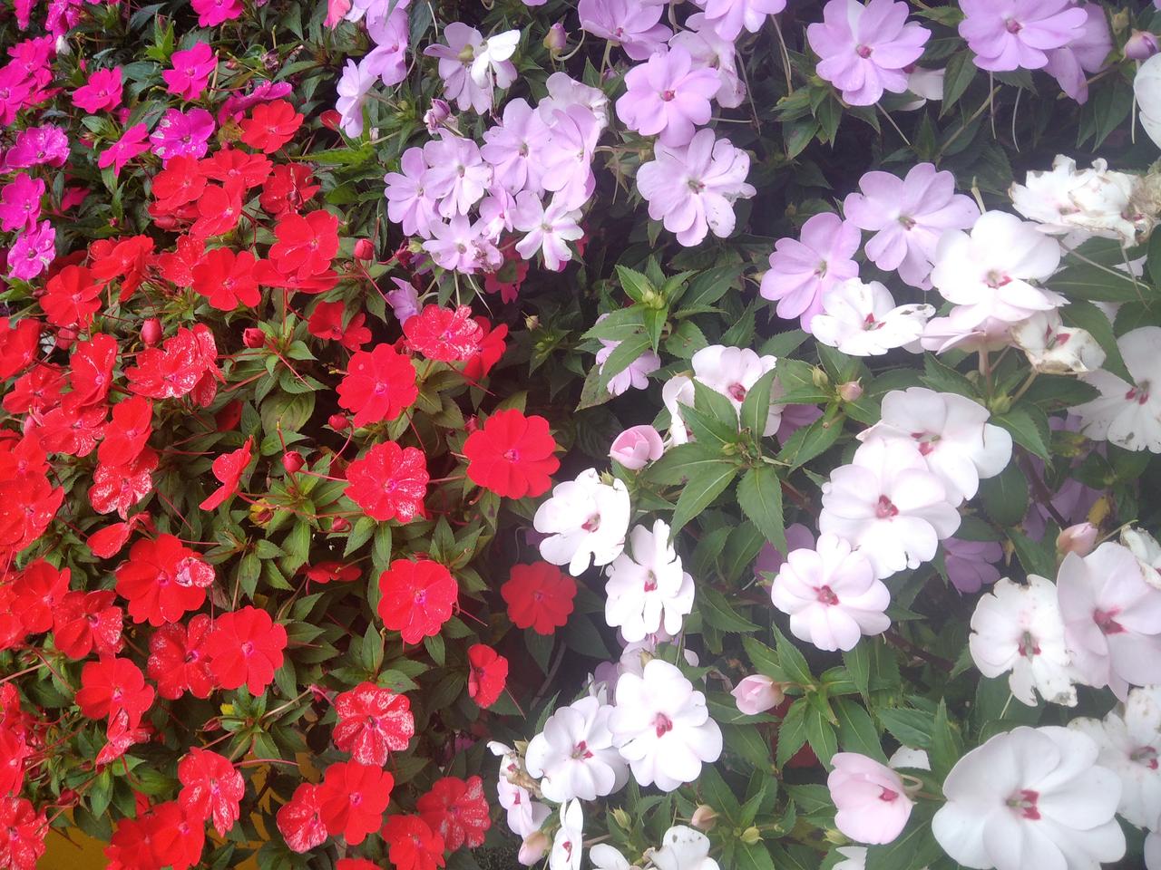 2025年最遗憾的一件事是什么？还有三天就是2026年了，过去的一年发生了很多