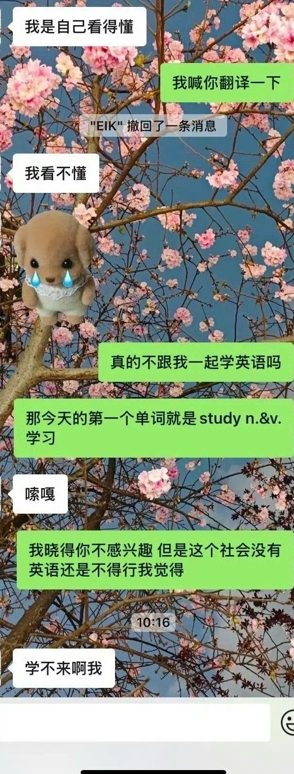 男朋友连study是什么意思都不知道？