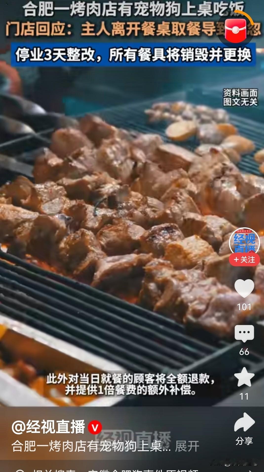 合肥一烤肉店有宠物狗上桌啃吃食物，立刻惊呆了饭店众多客人。有人立刻抢拍视频发到网