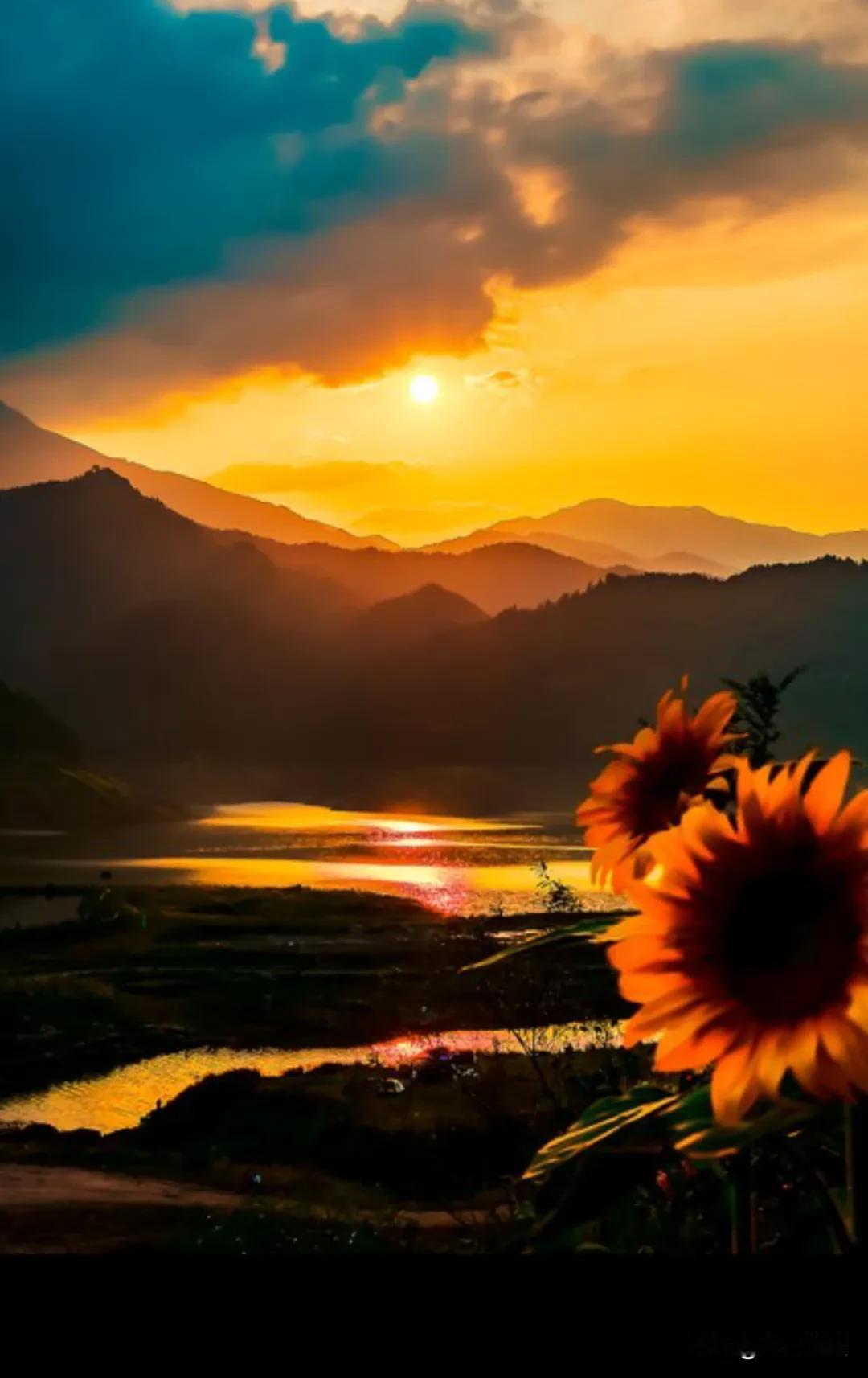 最近的焦虑被这句话治愈了:“人生是用来体验的，不是用来演绎完美的，我慢慢接受