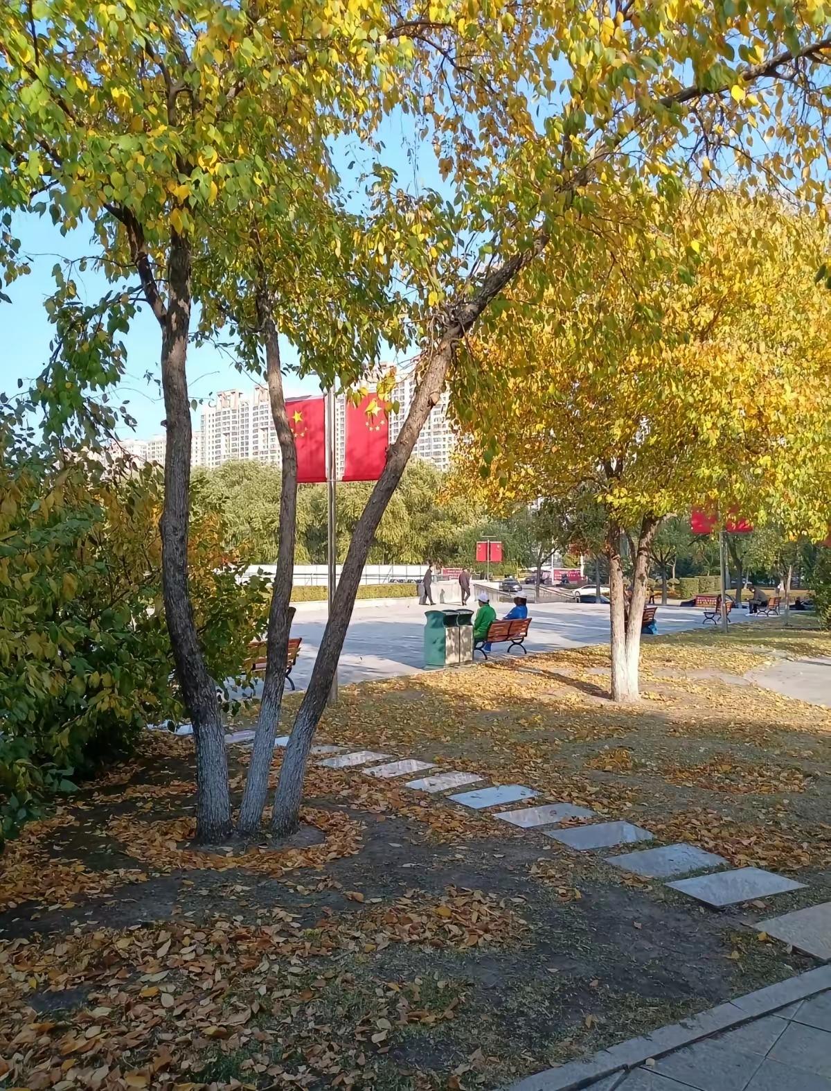 我退休金只有1580，儿子儿媳不稀罕，把我送到女儿家。我在女儿女婿家一住就是8年