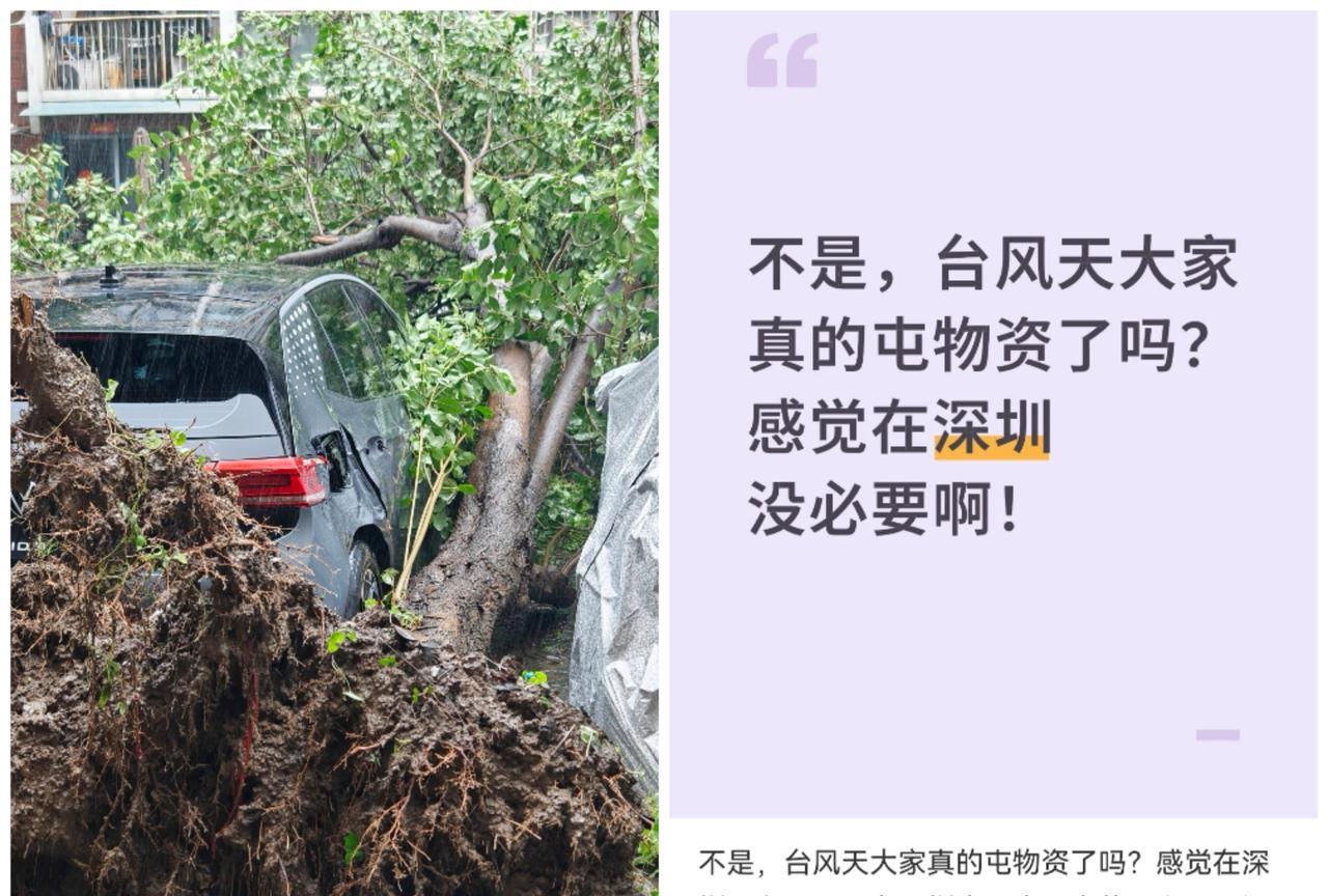 这次的台风桦加沙最恐怖的不是它不断加强，可能会创造历史而是不少深圳的朋友似乎