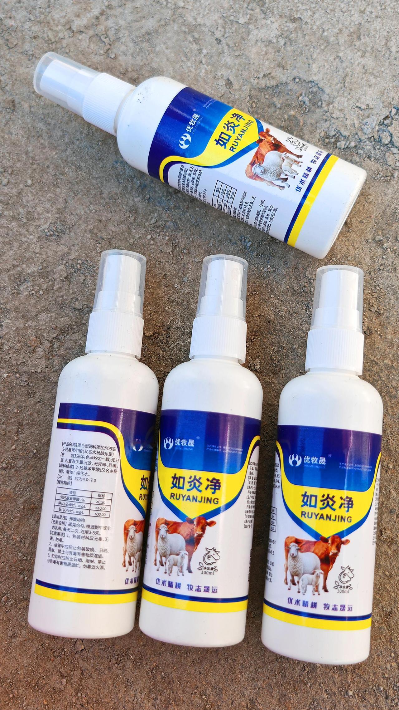 养羊人农村养羊牛羊养殖