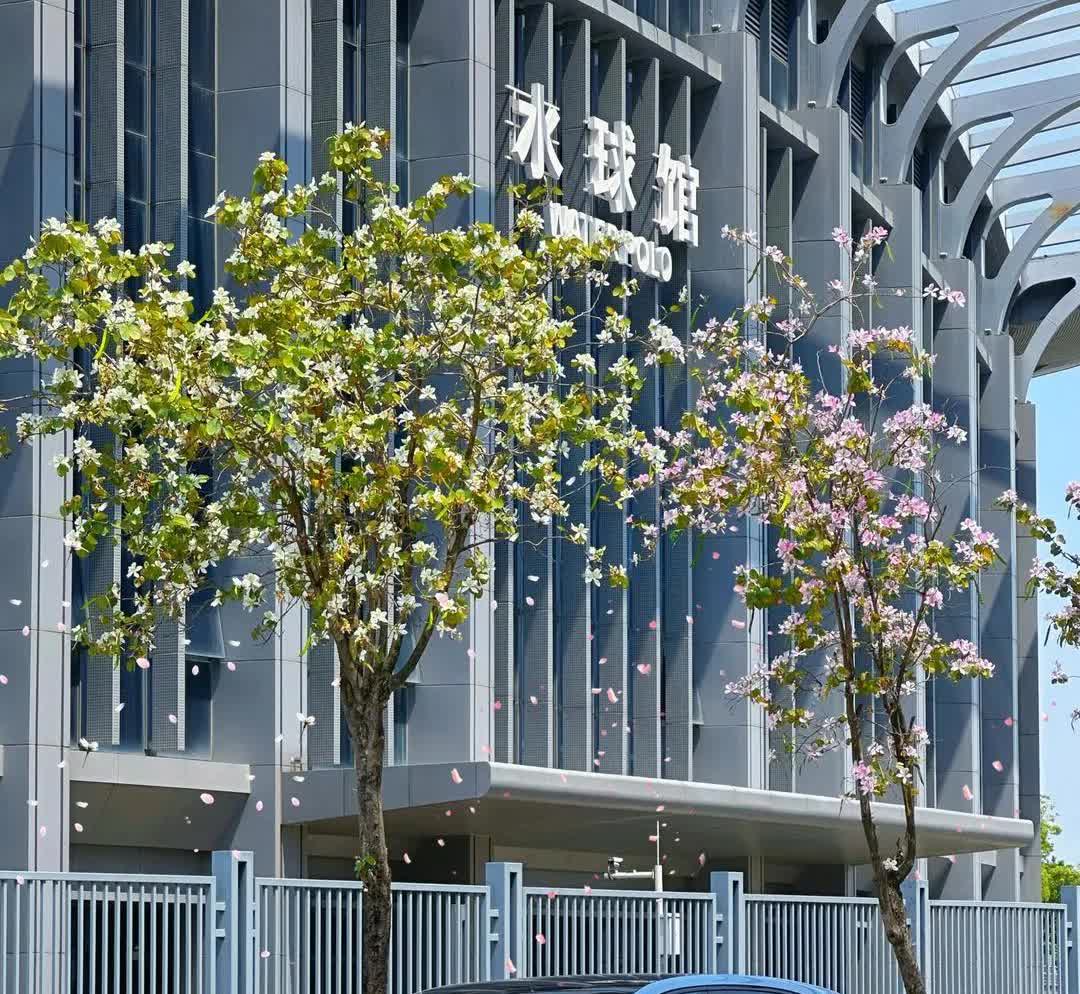 中国汽车品牌质量排名前五第五名、长城第四名、红旗第三名、长安第二