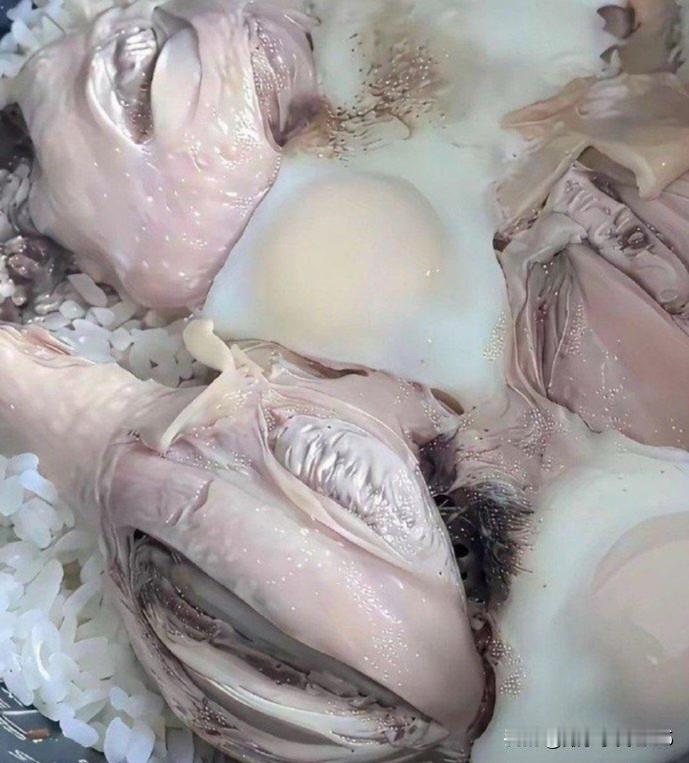 经过老王十几年坚持不懈的努力争取：他媳妇终于肯下厨做饭了！可就是这加了鸡腿和鸡